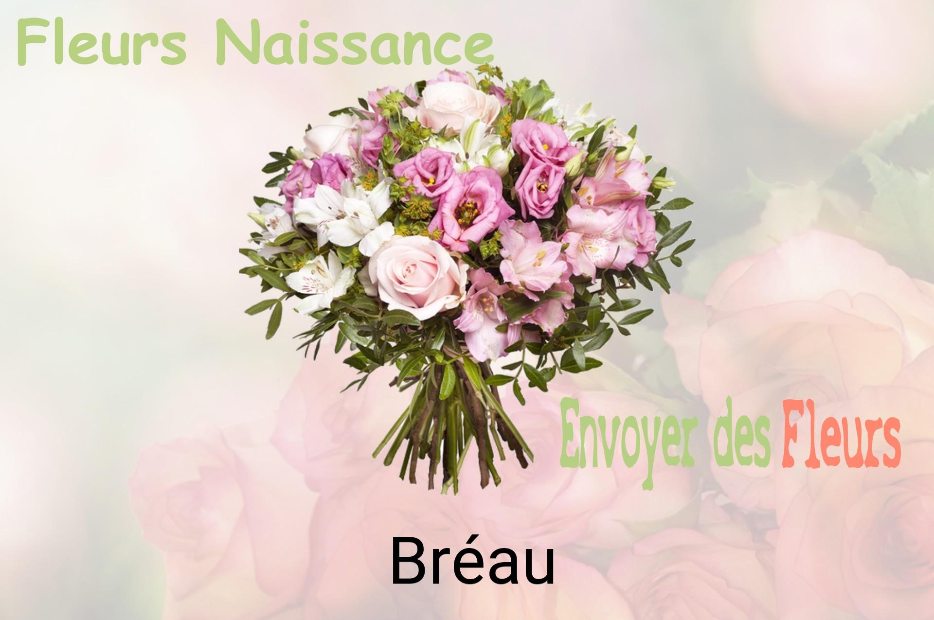 Bouquet de fleurs de naissance livré à Bréau